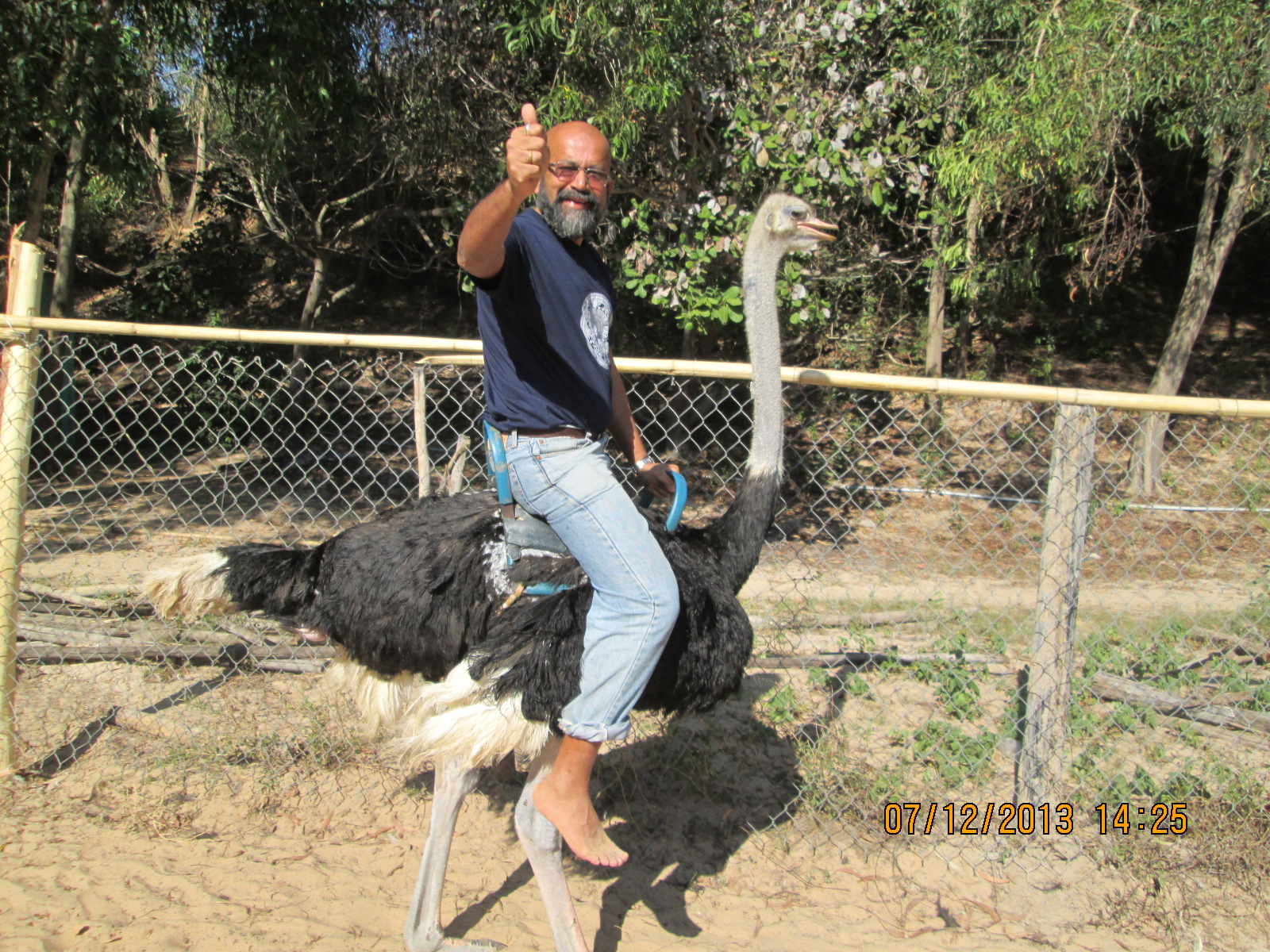 ostrich riding ile ilgili gÃ¶rsel sonucu
